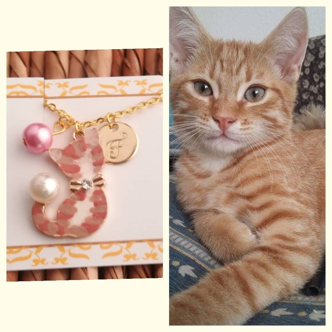 Red Cat Jewelry Portrait As Xmas Sis Necklace